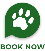 book-now