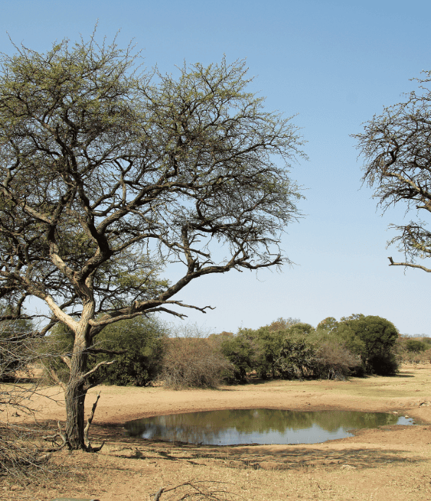 Landscapes-1