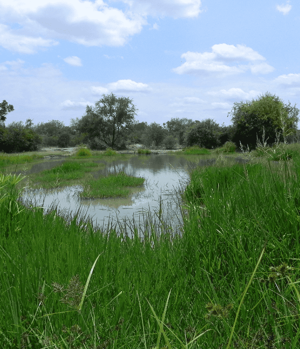Landscapes-2