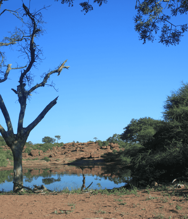 Landscapes-4