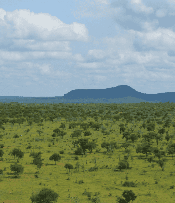 Landscapes-8