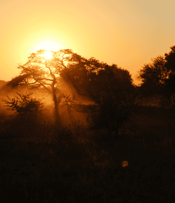 Landscapes-9