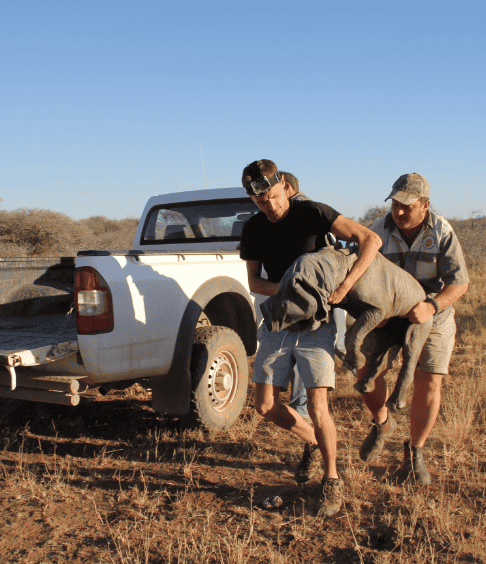 Our Conservation Ethos-3