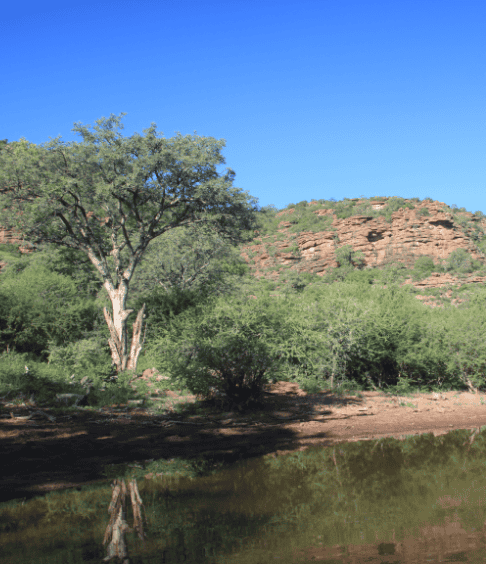 Our Conservation Ethos-4