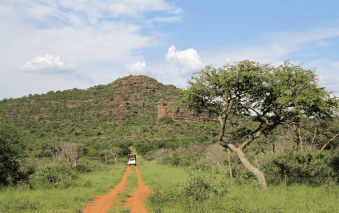 Shelanti Experiences Game Drives-6