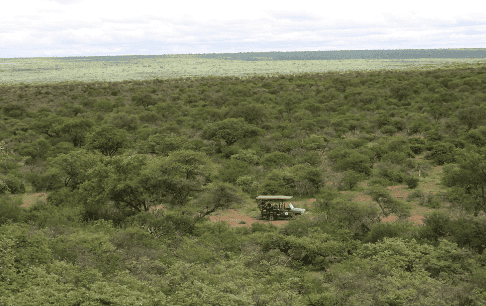 Shelanti Experiences Game Drives-7