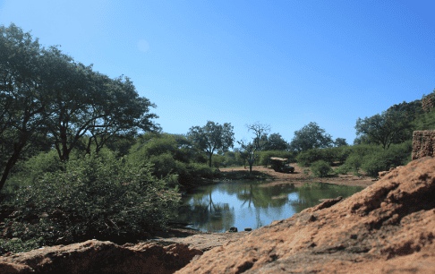 Shelanti Experiences Game Drives-8