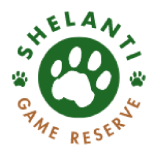 cropped-shelanti-logo.png